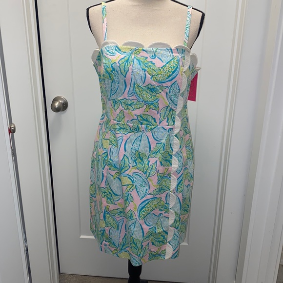 NWT Lilly Pulitzer Mercede Stretch Dress - Picture 6 of 12